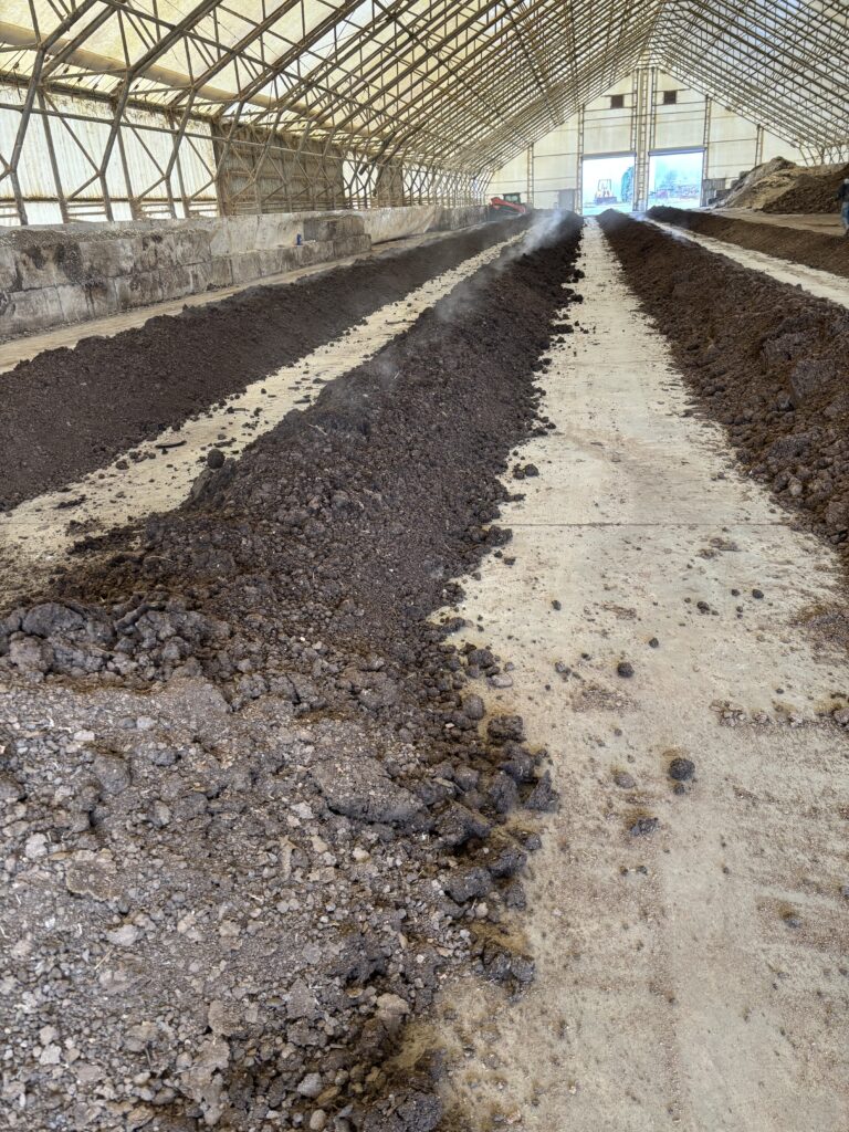 Chicken manure compost