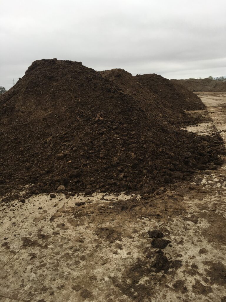 organic cow manure