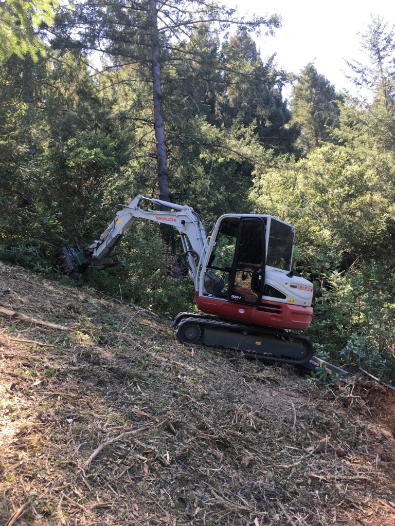 forestry mulching, masticator, vegetation management