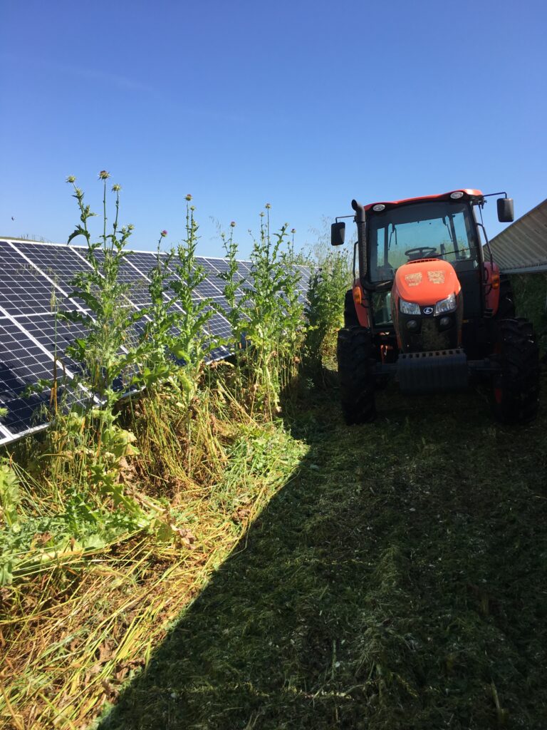 high weed mowing, Sonoma County, solar field